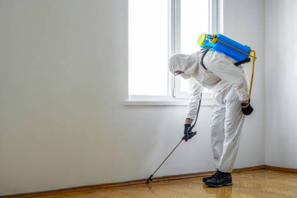 Best Commercial Pest Control Services  in Dry Ridge, KY
